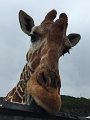 Kids_FossilRim_8-2016 (61)